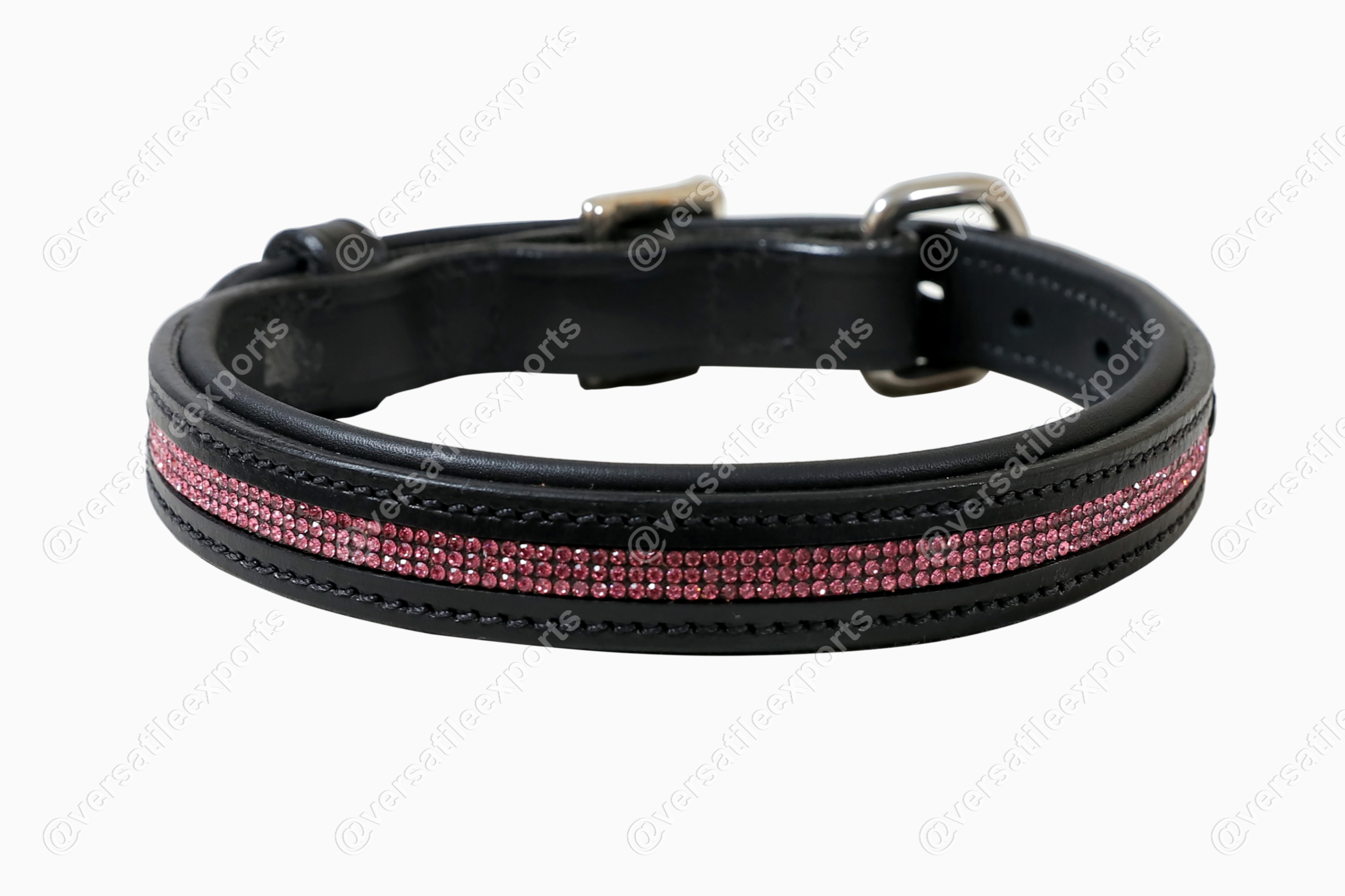 Dog Collars Shiny